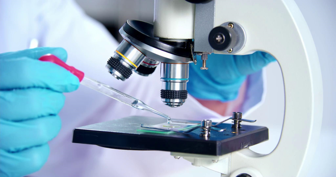 利来集团(中国)_来利国际w66手机版老牌