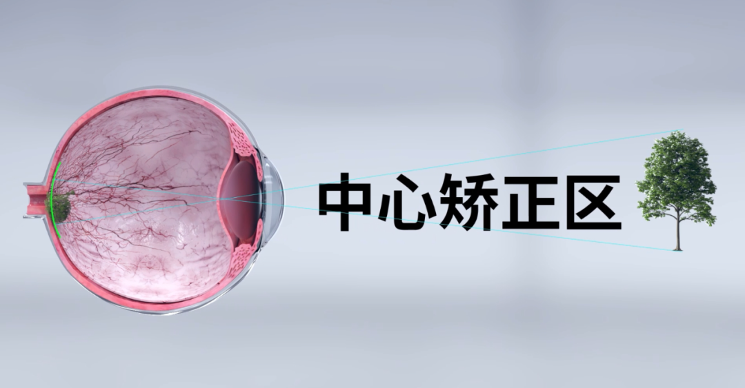 20231107085742_19409 利来集团(中国)_来利国际w66手机版老牌