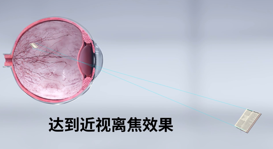 20231107085751_90067 利来集团(中国)_来利国际w66手机版老牌